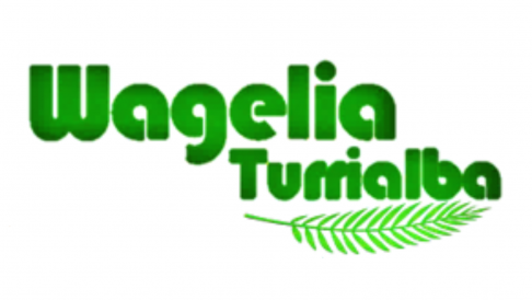 Restaurante Wagelia Turrialba